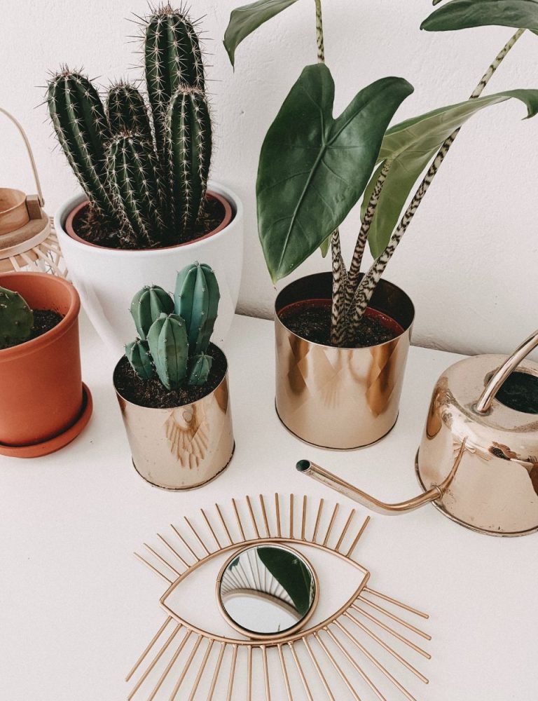 Why Your Website Is Not Converting Visitors Into Enquiries