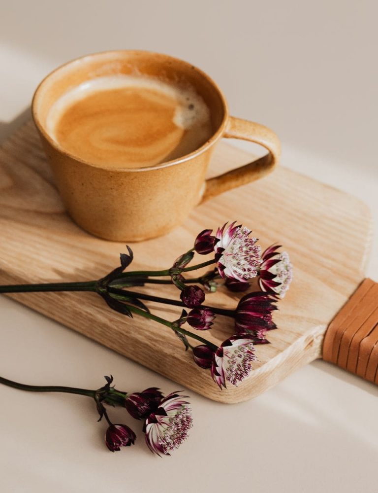 Seitan chartreuse swag cloud